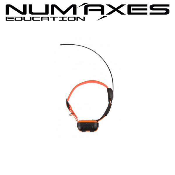 COLLAR ADICIONAL CANICOM GPS