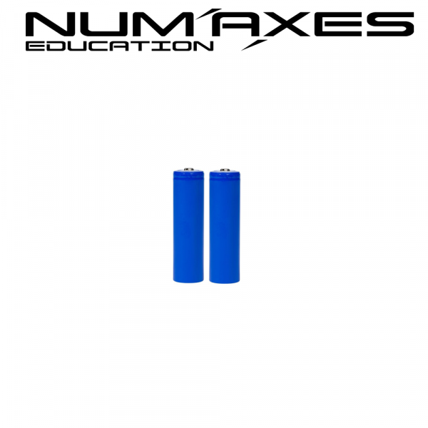 PACK 2 BATERIAS MANDO CANICOM GPS