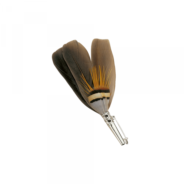 ALFILER FIESTA DEL BOSQUE