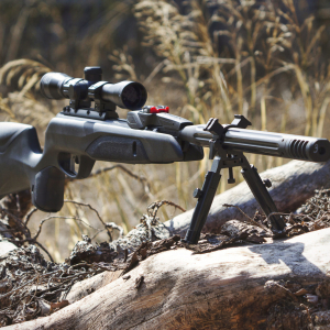 sessio-dianes-5-1-scaled-1.jpg sessio-dianes-5-1-scaled-1.jpg