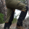 pantalon-con-proteccion-force-2.png